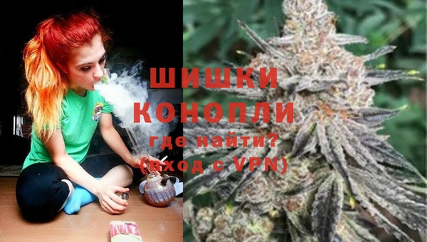 СК Алзамай