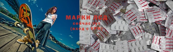 ПСИЛОЦИБИНОВЫЕ ГРИБЫ Алексеевка