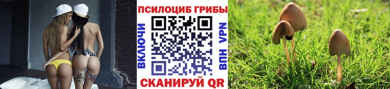 где найти наркотики  Чёрмоз  blacksprut tor  Галлюциногенные грибы Cubensis 